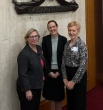 Queensland Law Society representatives Wendy Devine, Kerryn  Sampson and Anna Sharpe at Parliament House yesterday.